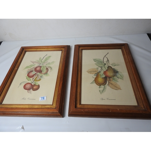 Lot 309       