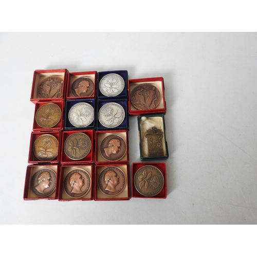 Lot 21        