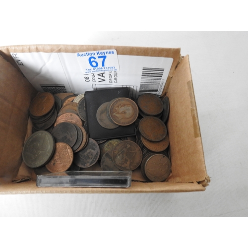 Lot 67        