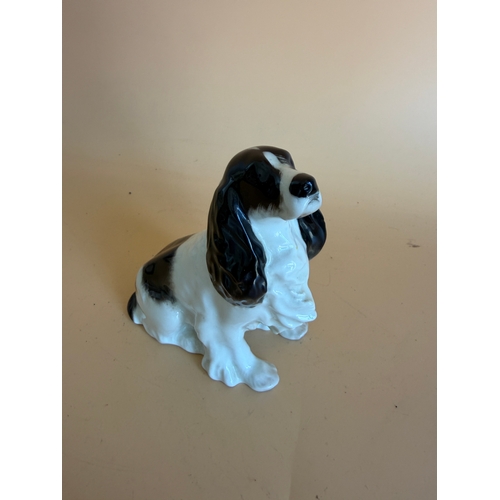 Lot 55        