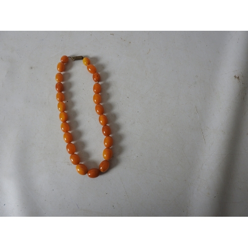 Lot 34        
