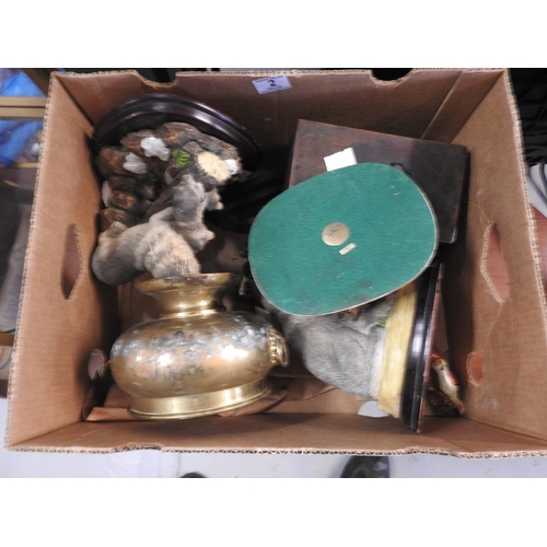 Lot 2         