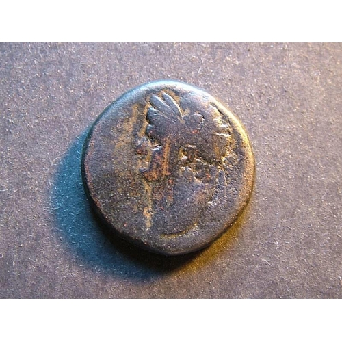 125 - ROMAN PROVINCIAL.  Domitian (AD81-96), AE23 of Antiochia ad Orontem in Seleucis & Pieria (Syria), la... 