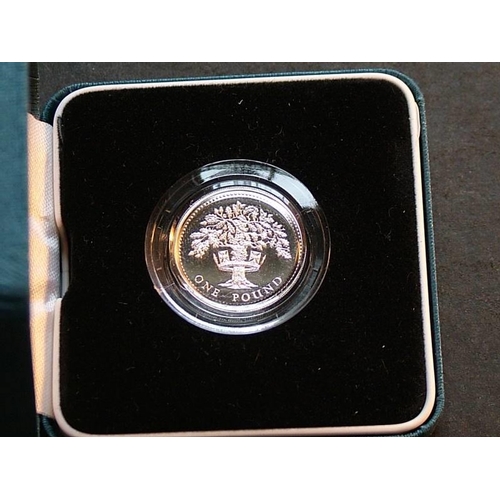 277 - One Pound.  1987, cased silver PROOF, NFDC