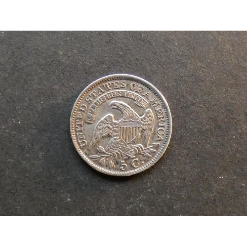 Lot 484       