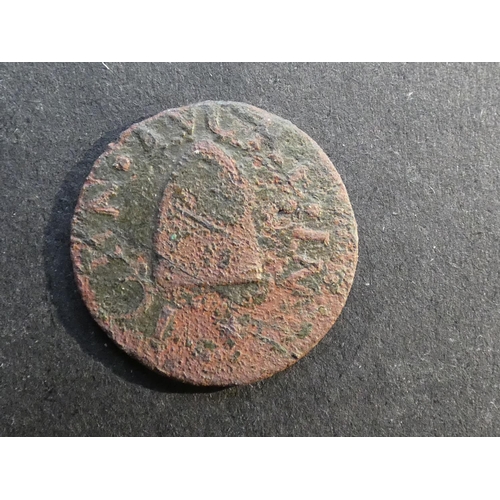 Lot 501       