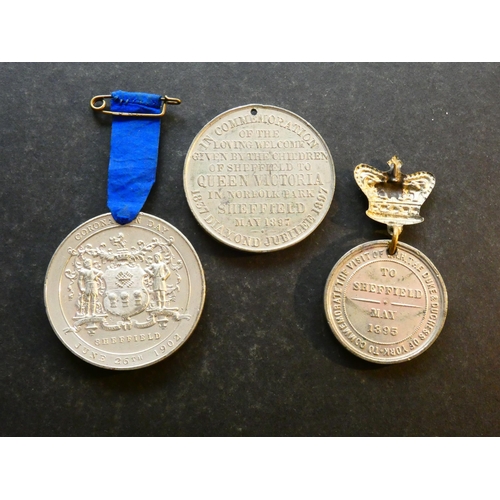 499 - MEDALLIONS – ROYALTY.  Yorkshire, Sheffield interest, including 1895, visit of Duke & Duchess of Yor... 