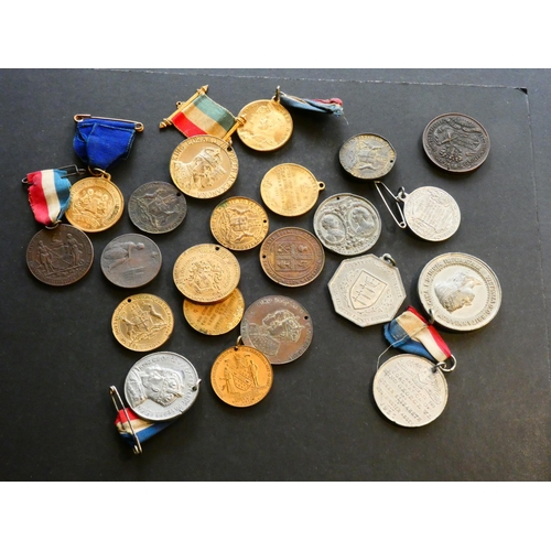 500 - MEDALLIONS – ROYALTY.  Various, including 1863, marriage of Prince of Wales & Princess Alexandra of ... 