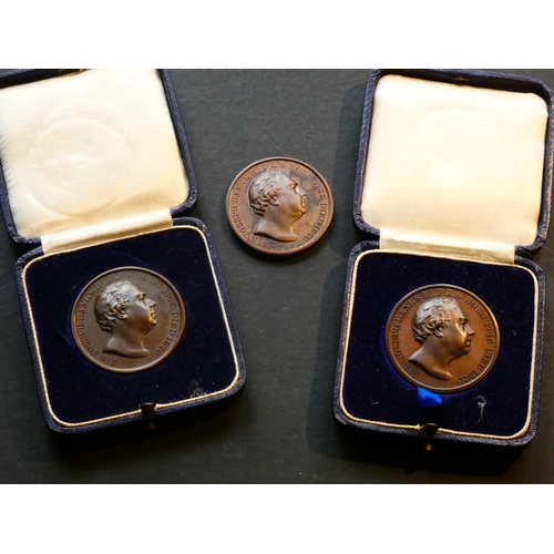 537 - MEDALLIONS, NATIONAL & LOCAL.  THE ROYAL HORTICULTURAL SOCIETY, bronze prize medals awarded to Sir F... 