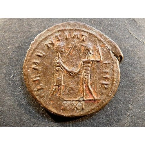 31 - ROMAN EMPIRE.  Various, including Faustina Junior (daughter of Marcus Aurelius, 161-180 CE), brass S... 