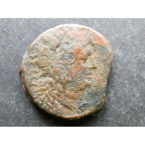 90 - GREEK.  Italy, Apulia, AE Nummus, 33mm, 30.14g, of Venusia, circa 210-200 BCE, obverse; head of youn... 