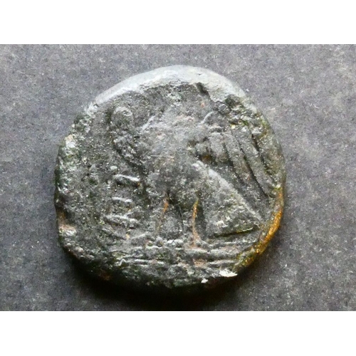 91 - GREEK.  Italy, Apulia, AE Quincunx, 26mm, 10.12g, of Venusia, circa 268-217 BCE, obverse; laureate h... 