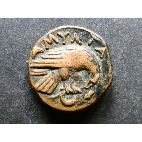 142 - GREEK.  Macedon, AE Tetrachalkon, 15mm, 4.00g, of Amyntas III, 389-383 and 381-369 BCE, obverse; hea... 