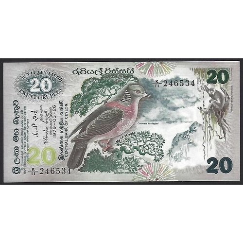 Lot 26        