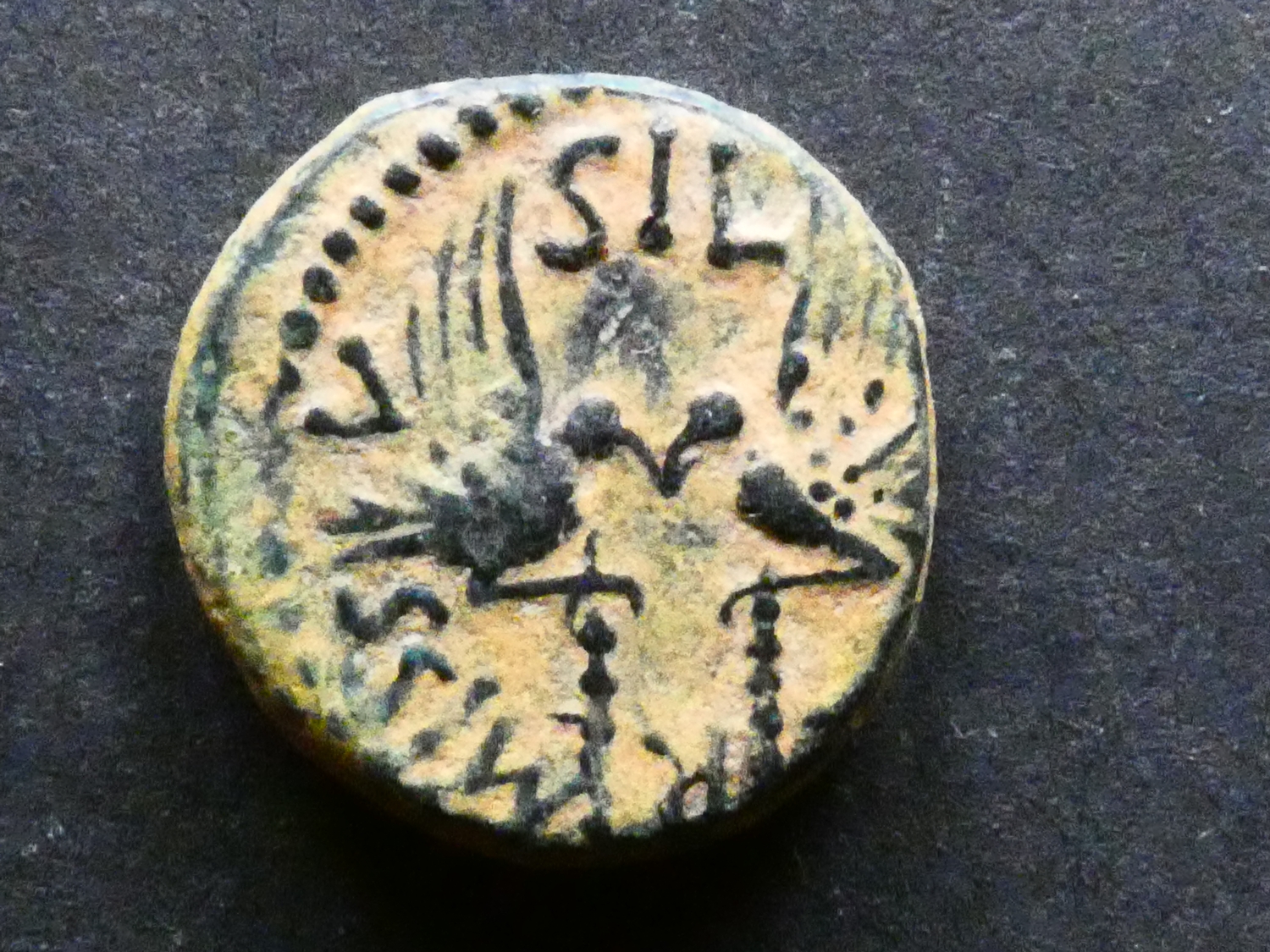 COIN. Roman Provincial (Greek Imperial), Augustus (27 BCE-14 CE), AE17 ...