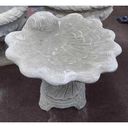 522a - Shell bird bath, large shell on decorative base