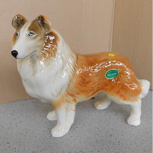 202 - Staffordshire Nelson rough collie