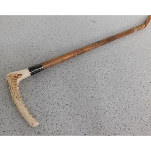 66 - Antique silver collared riding crop circa 1900, fully hallmarked, horn handle