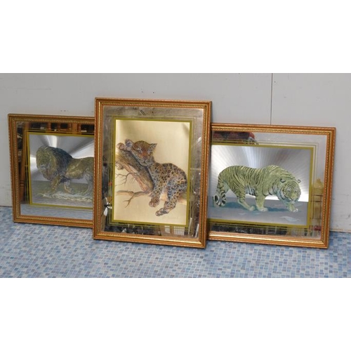 567 - Set of 3 wildlife 'William Finch' reflective prints