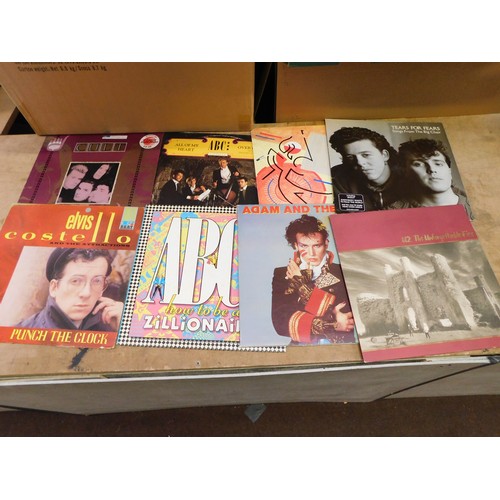 35 - Large collection of vinyl LP's inc Sex Pistols, U2, Elvis Costello, Bay City Rollers etc