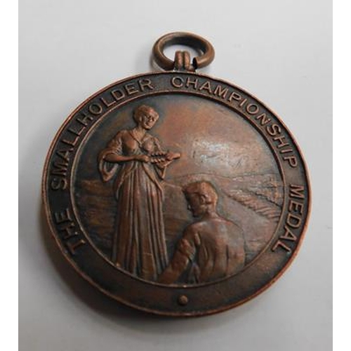 277 - Unusual badges with medal