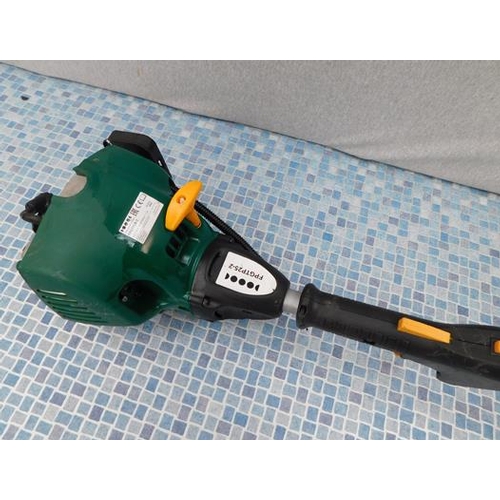 523 - Petrol strimmer model FPGTP25-2