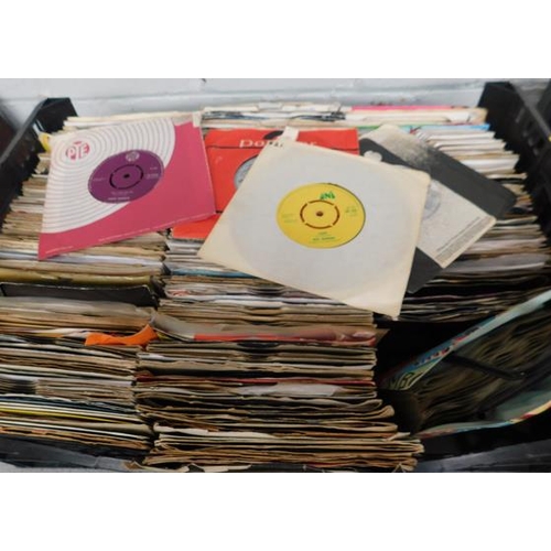 26 - Large tray of 7