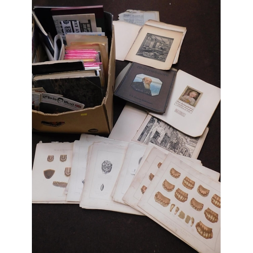 33 - Selection of ephemera incl. vintage horse anatomy plates