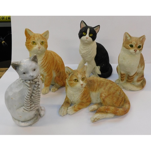 83 - Collection of large cats