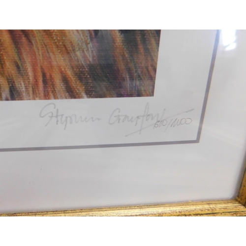 565 - Selection of framed wildlife signed limited edition prints by Stephen Grayford