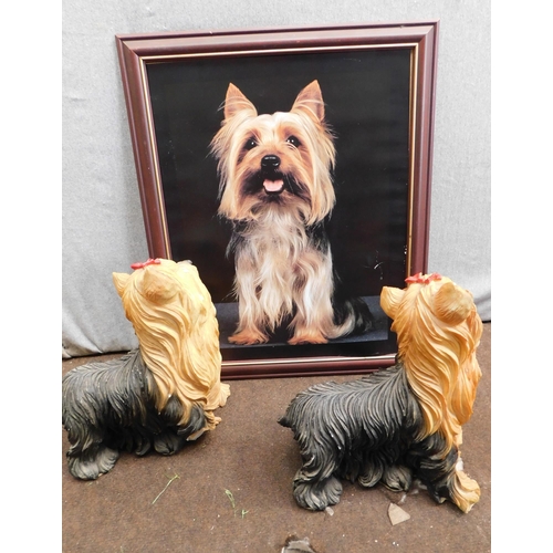 31 - 2x Large Yorkshire Terrier dogs (at fault) and picture frame