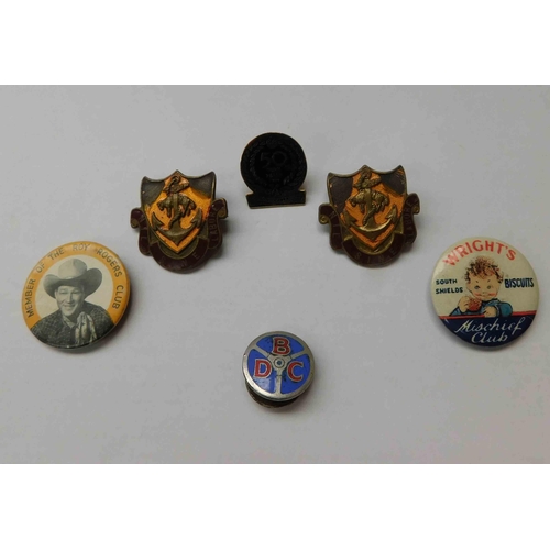 19 - Vintage badges - including enamelled