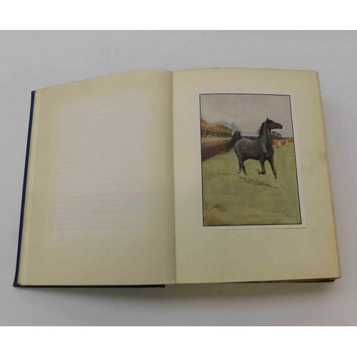 14 - Black Beauty by Anna Sewell - with colour plates