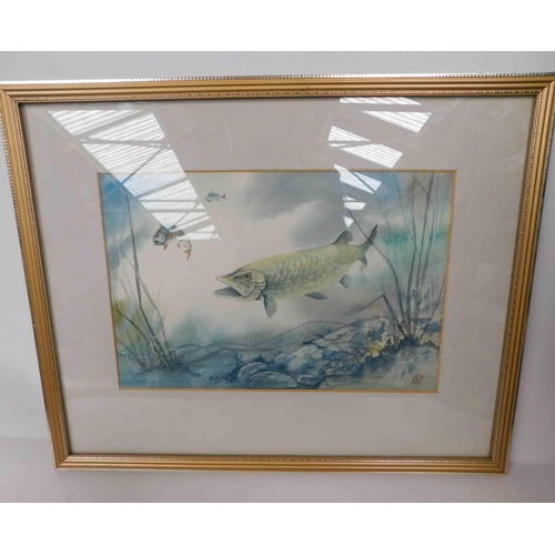 11 - Original water colour - Pike by T.Holahan...