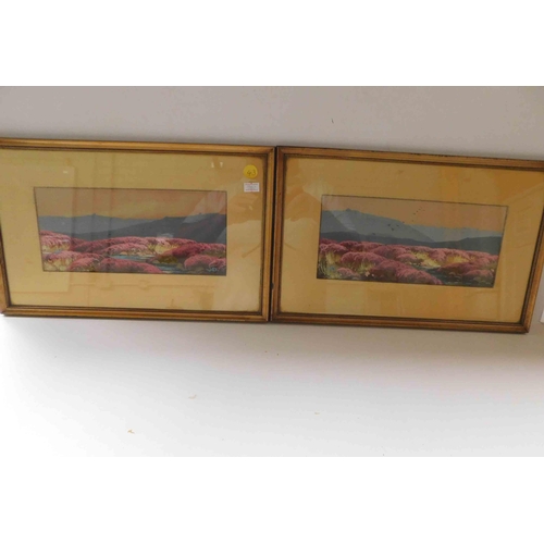 11 - Pair of gilt framed - Gouache paintings