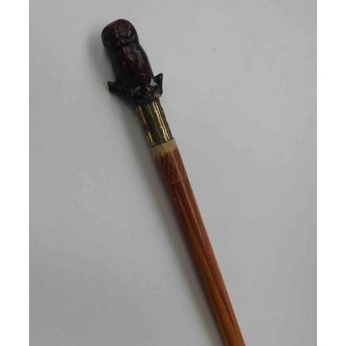 262 - Walking stick with owl handle