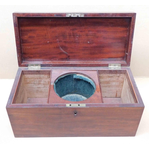 55 - Rosewood Tea Caddy - no key