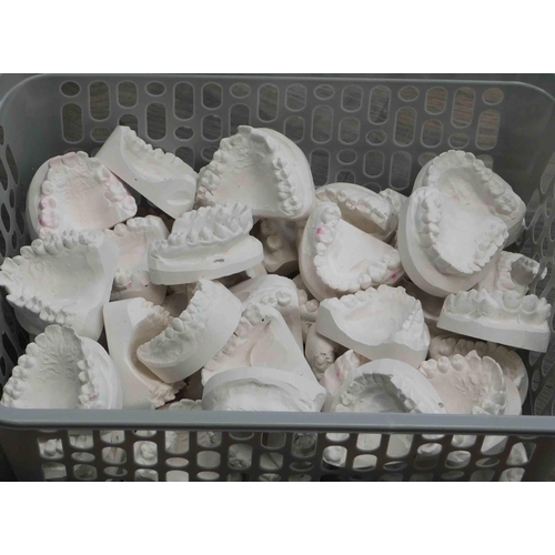 570 - Tray of plaster of Paris teeth moulds