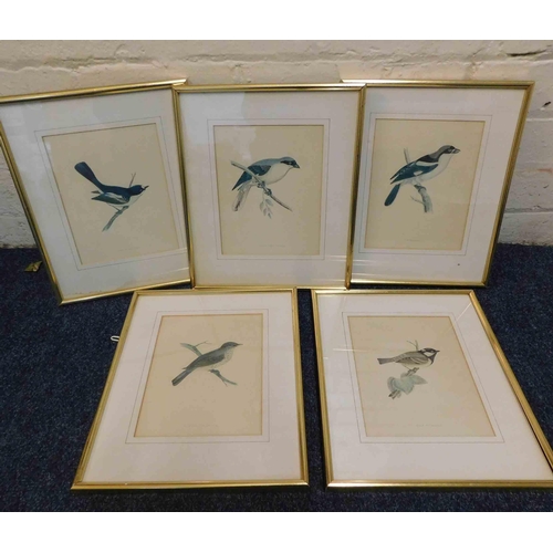 82 - Five - Framed bird prints - 10.5 x 12.5