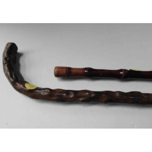 158 - Swagger & walking sticks - including Irish Blackthorn