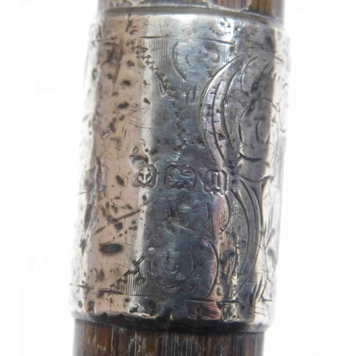 179 - Silver banded - walking stick