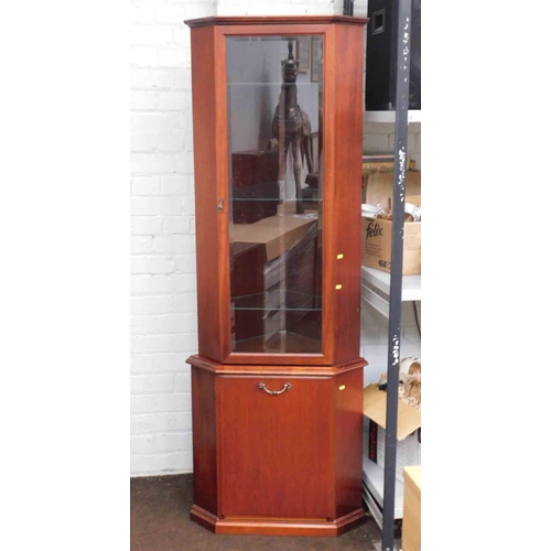 669 - Mahogany coloured corner cabinet