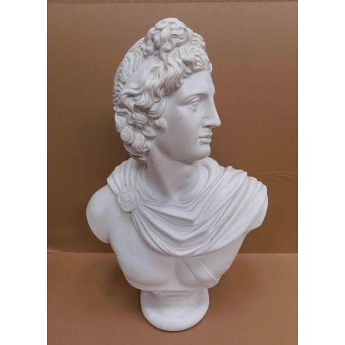 48 - Classical style plaster bust - Apollo belvedere - approx. 21