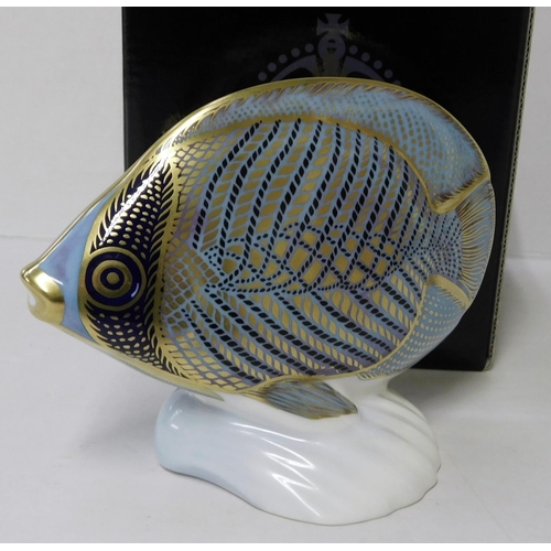 24 - Royal Crown Derby - Butterfly fish paperweight