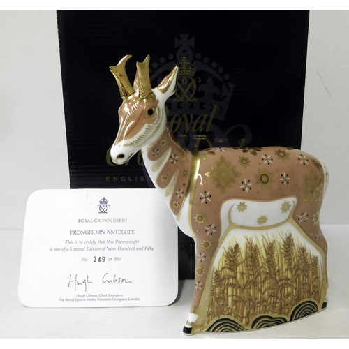 25 - Royal Crown Derby - limited edition Pronghorn Antelope paperweight - 349/950 gold stopper & cert. - ... 