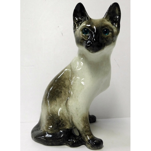 27 - Winstanley - Siamese cat with blue eyes/size 4 -