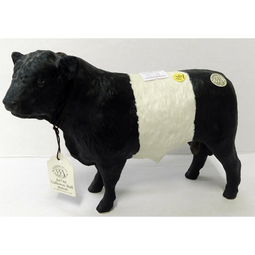 63 - Border Fine Arts - Galloway Bull/belted - Model No. A6746