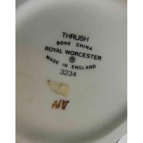 119 - Royal Worcester - hand painted thrush - model no 3234