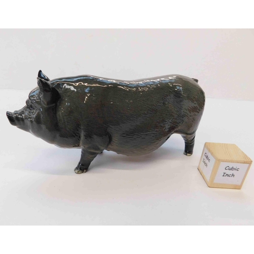218 - Royal Doulton - Vietnamese pot bellied pig