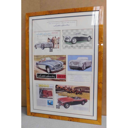 156 - Austin Healy - framed print - No 63 of 1000 - 24